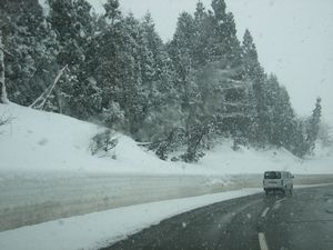 雪　ゆき　ユキ